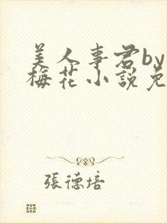 美人事君by小梅花小说免费阅读封面