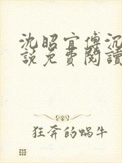 沈昭宜傅沉砚小说免费阅读最新章节