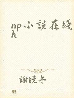 np小说在线高h