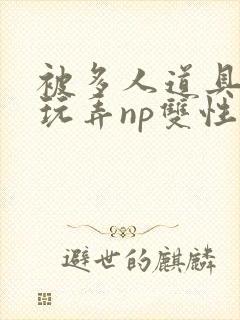 被多人道具调教玩弄np双性封面