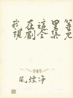 我在这里等你电视剧全集免费观看