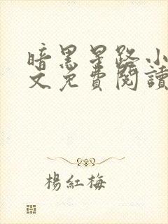 暗黑星路小说全文免费阅读无弹窗封面