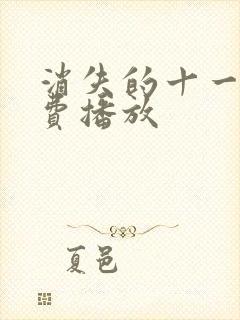 消失的十一层免费播放