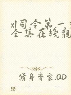 xl司令第一季全集在线观看完整版动漫