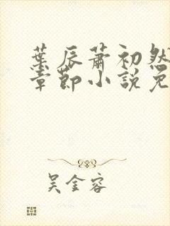 叶辰萧初然最新章节小说免费阅读封面