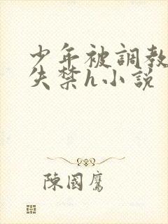 少年被调教爽到失禁h小说