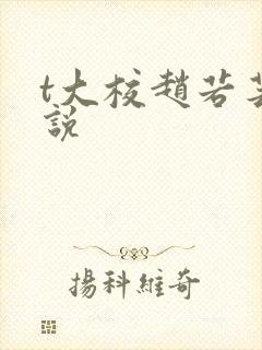 t大校赵若芸小说封面
