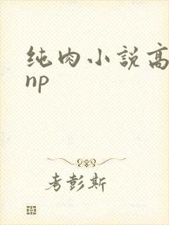 纯肉小说高h np封面