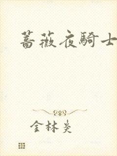 蔷薇夜骑士封面