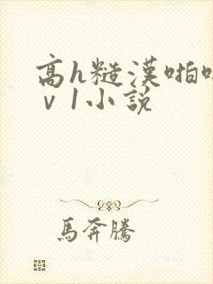 高h糙汉啪啪1ⅴ1小说