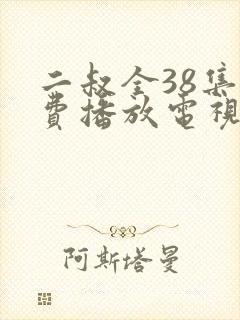 二叔全38集免费播放电视剧视频