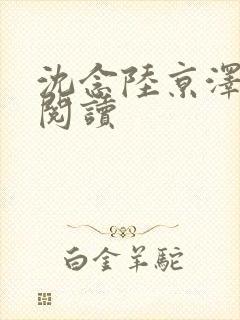 沈念陆京泽小说阅读封面