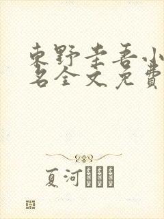 东野圭吾小说排名全文免费阅读