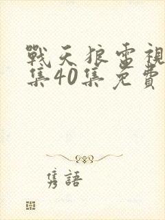 战天狼电视剧全集40集免费观看封面