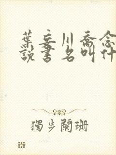 叶妄川乔念的小说书名叫什么