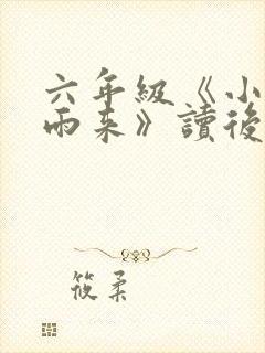 六年级《小英雄雨来》读后感