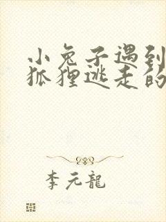 小兔子遇到两只狐狸逃走的看图写话封面