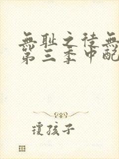 无耻之徒无删减第三季中配版