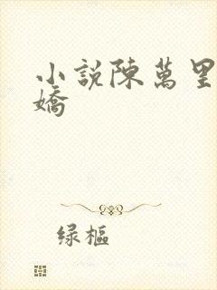 小说陈万里宋娇娇