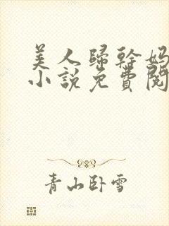 美人归干妈小超小说免费阅读全文封面