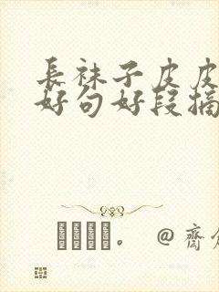 长袜子皮皮好词好句好段摘抄