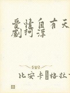 爱情自有天意短剧柯淳封面