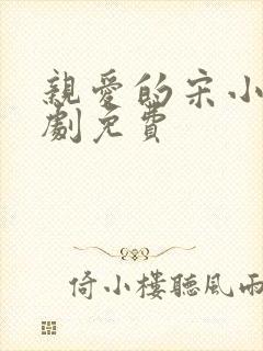 亲爱的宋小姐短剧免费