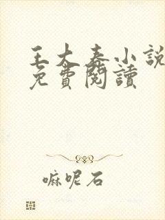 王大春小说全文免费阅读