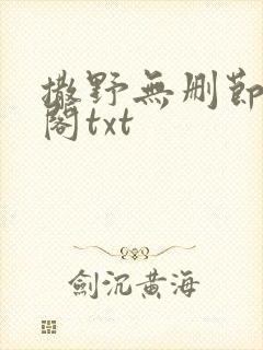 撒野无删节笔趣阁txt