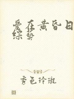 爱在黄昏日落时综艺