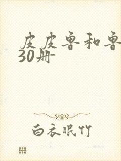 皮皮鲁和鲁西西30册