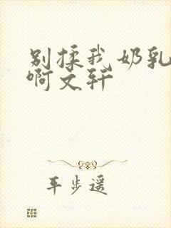 别揉我奶乳嗯～啊文轩