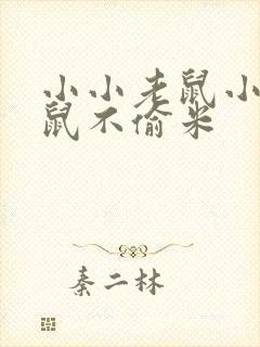 小小老鼠小小老鼠不偷米