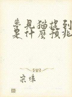 梦见猫捉到老鼠是什么预兆