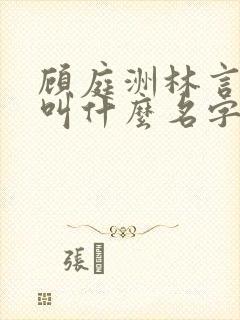 顾庭洲林言小说叫什么名字