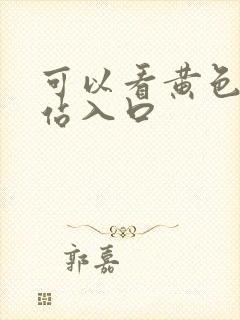 可以看黄色的网站入口