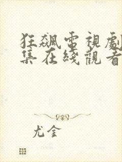 狂飙电视剧40集在线观看免费播放