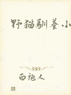 野猫驯养小说