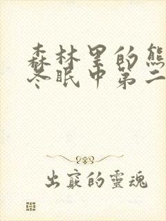 森林里的熊先生冬眠中第二季