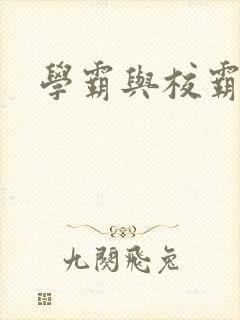 学霸与校霸封面