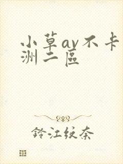 小草av不卡亚洲二区
