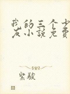 我的三个少爷室友小说免费阅读封面