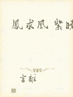 凤求凰 紫晓封面