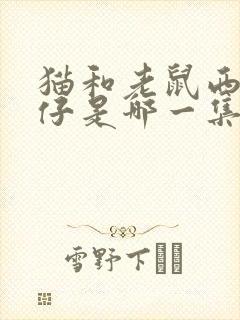 猫和老鼠西部牛仔是哪一集