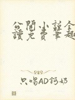 公开小说全文阅读免费笔趣阁