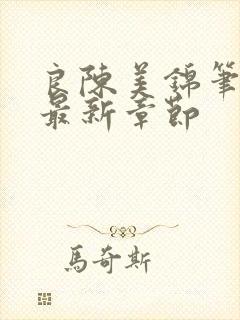 良陈美锦笔趣阁最新章节封面