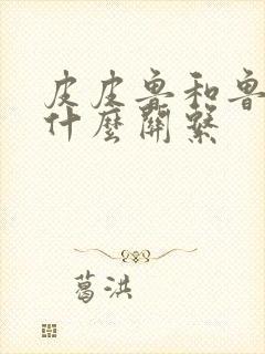 皮皮鲁和鲁西西什么关系