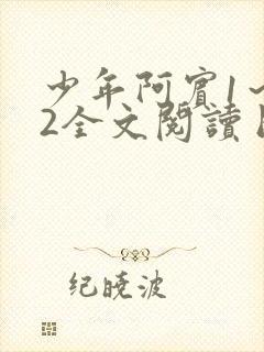 少年阿宾1～72全文阅读目录