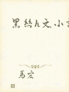 黑丝h文小说