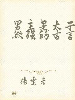 男主是太子占有欲强的古言